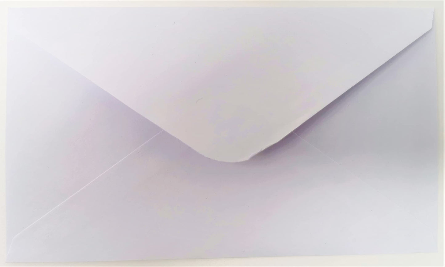 Christmas Money Wallet & Envelope, Arctic Luxe - Pack of 4
