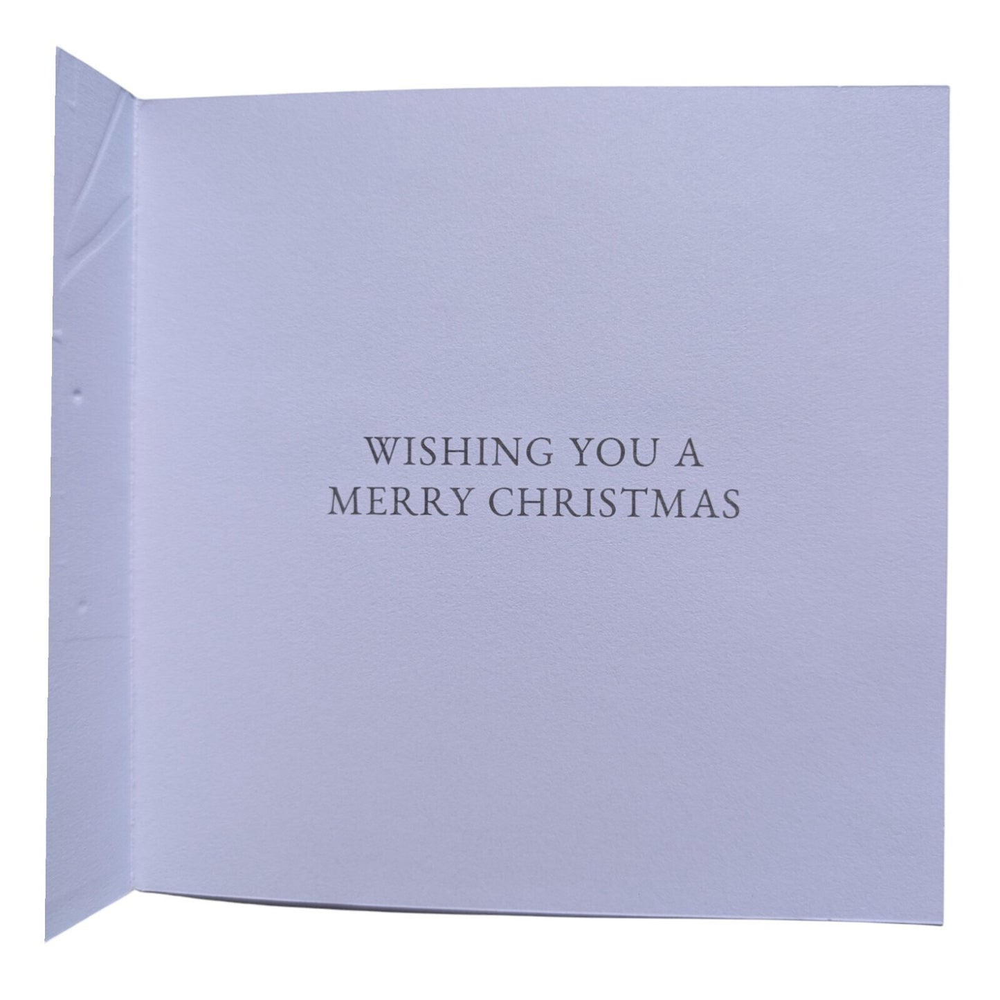 10 Christmas Cards with Envelopes – 14x14cm – Stag & Merry and Bright Designs
