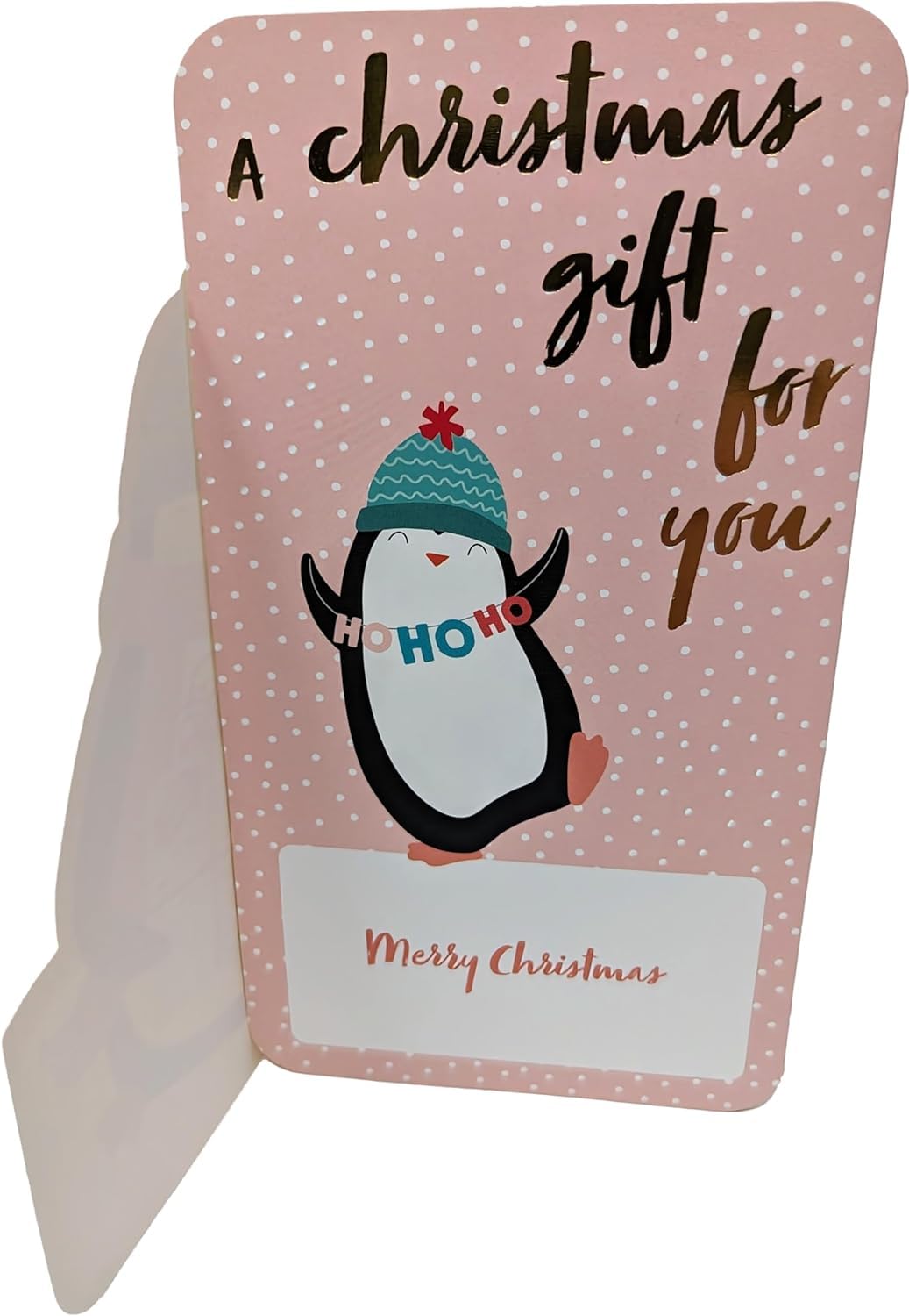 π 12 Christmas Money Wallets with Envelopes β 4 Festive Designs (Santa, Reindeer, Tree & Penguin) β Fits Cash, Gift Cards & Vouchers (16 Γ 9 cm)