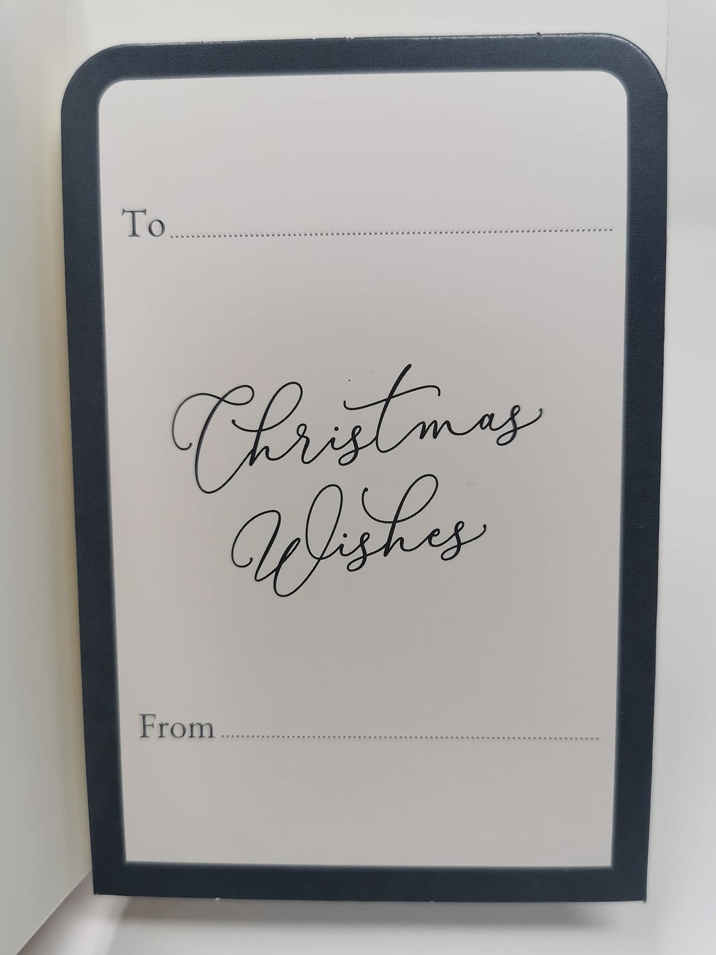 Christmas Money Wallet & Envelope, Arctic Luxe - Pack of 4