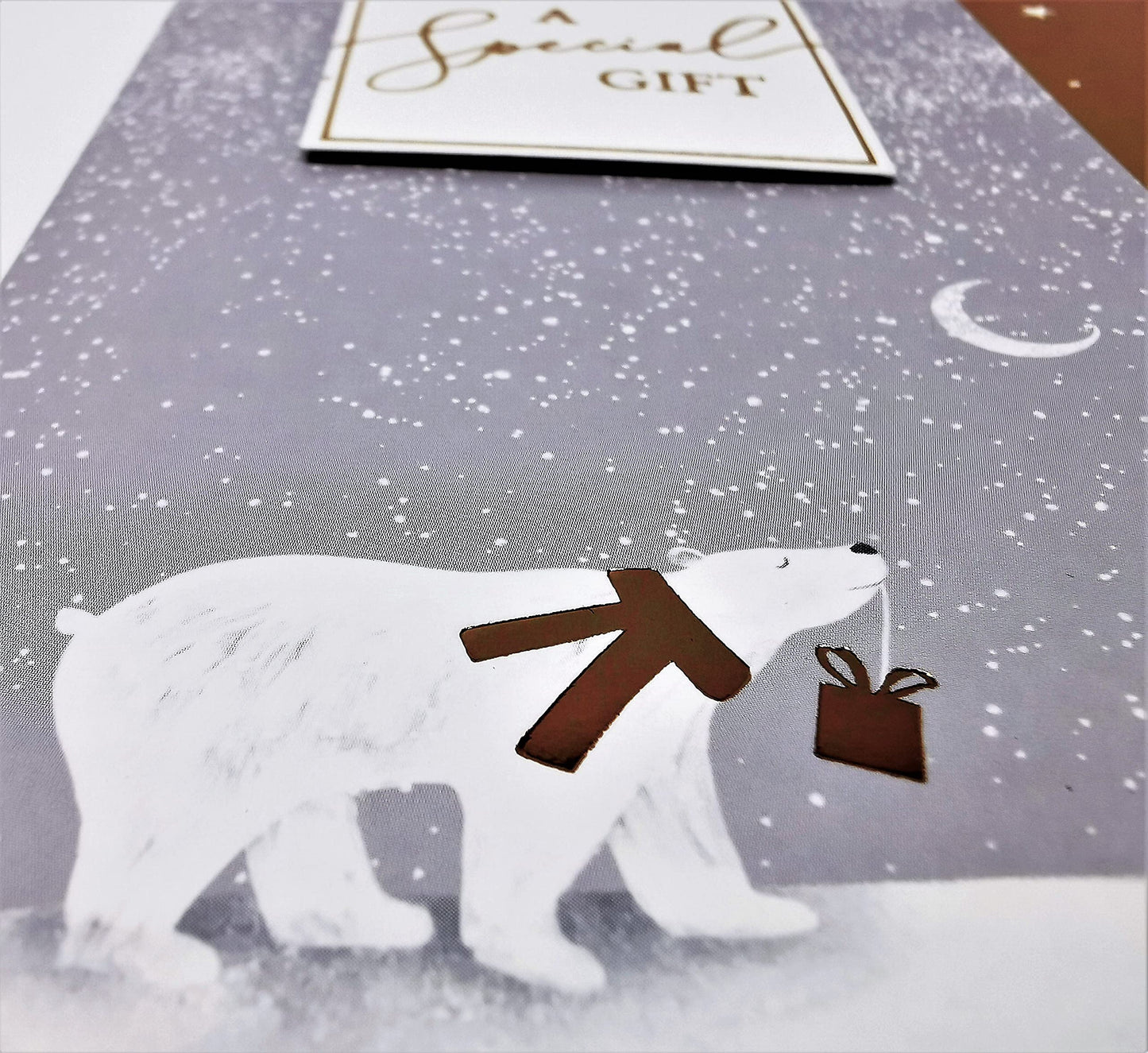 Christmas Money Wallet & Envelope, Arctic Luxe - Pack of 4