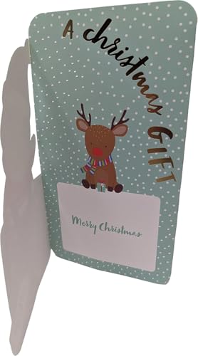 8 Christmas Santa Money Wallet with Envelope
