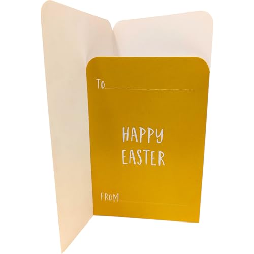 YLAB Pack of 4 Easter Money Wallets & Envelopes - for Gift Cards