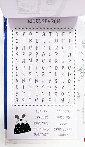 YLAB - Christmas Travel Set - 12 Coloured Pencils, 30 Colouring & 30 Activity Pages - You Love a Bargain