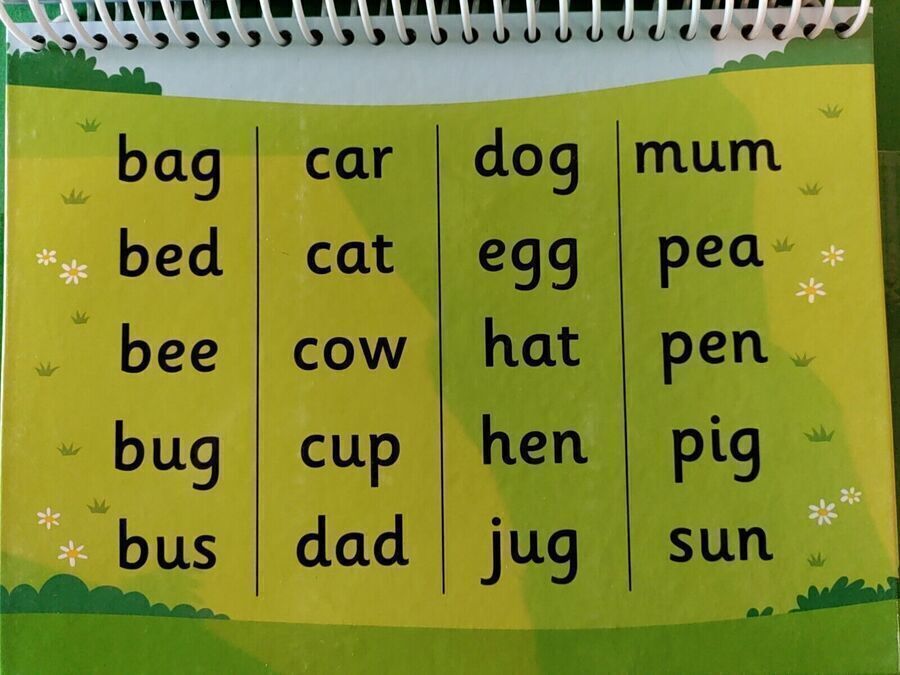 3x Phonics & Spelling Books - Word Families, Short Words & 3 Letter Words