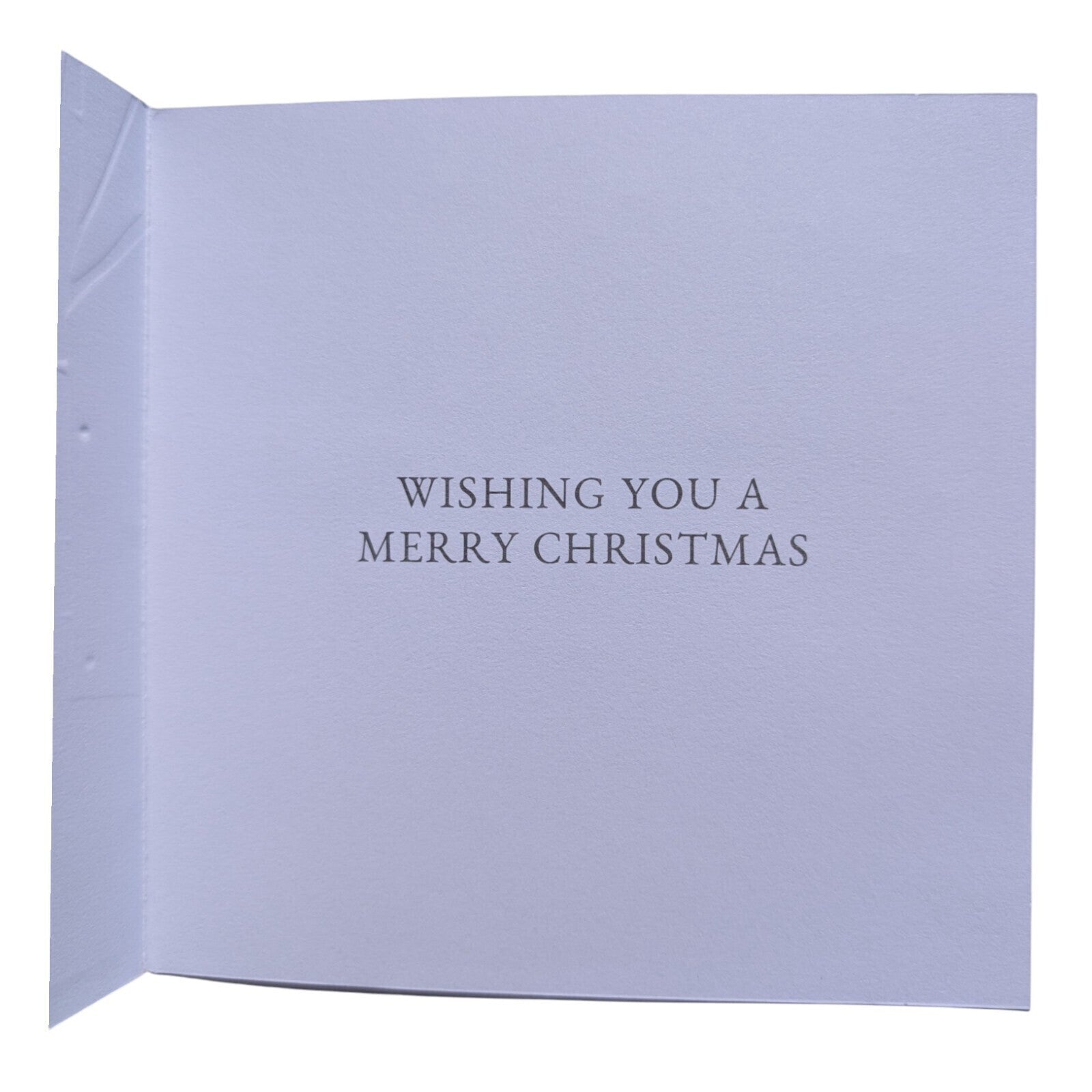 10 Christmas Cards with Envelopes – 14x14cm – Stag & Merry and Bright Designs