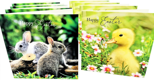 8 Happy Easter Cards with Envelopes – Bunny Rabbit & Duckling – Set of 8 Premium Easter Cards – 12x12cm – UK Designed