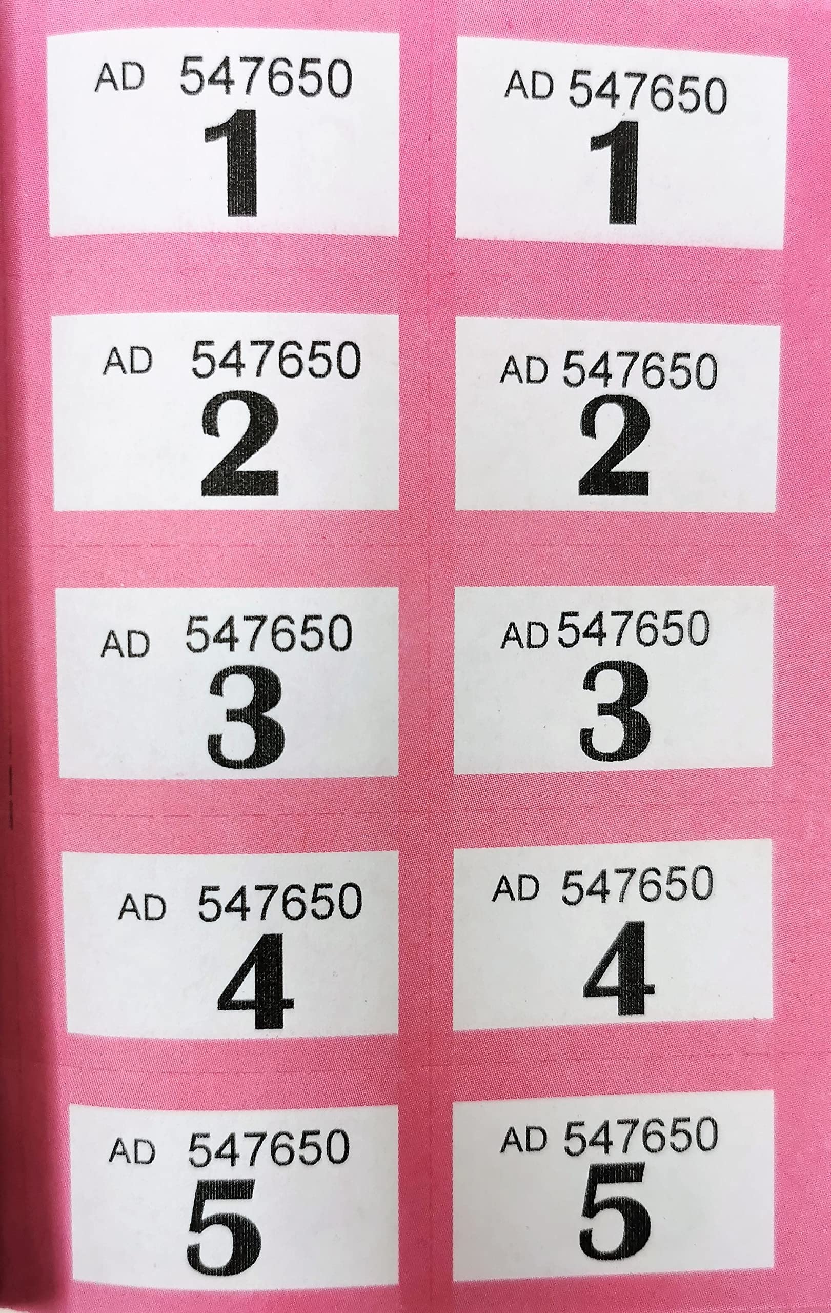 Pink Raffle 8001